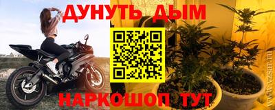 крисы Новозыбков