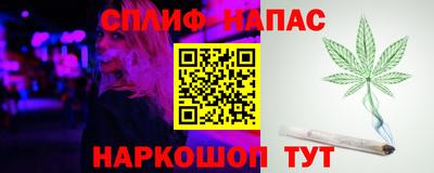 ECSTASY Новодвинск
