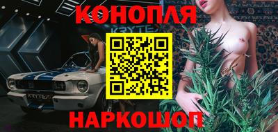 ECSTASY Новодвинск