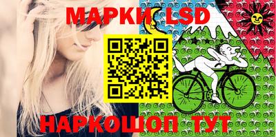 крисы Новозыбков