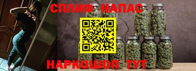 крисы Новозыбков
