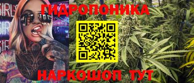ECSTASY Новодвинск
