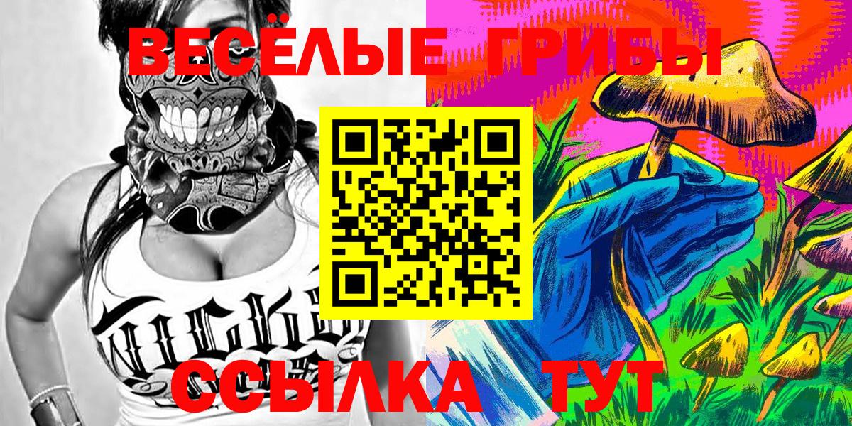 Галлюциногенные грибы MAGIC MUSHROOMS  Вход с VPN  Псилоцибиновые грибы прущие грибы  Якутск 