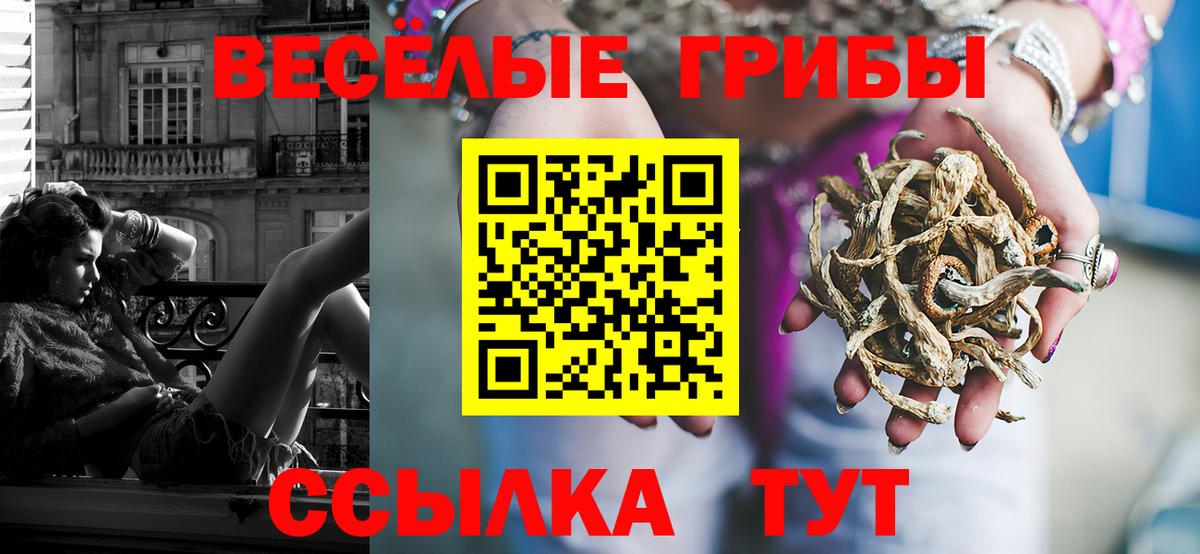 Галлюциногенные грибы Cubensis Якутск